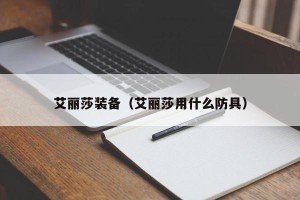 艾丽莎装备（艾丽莎用什么防具）