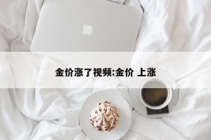 金价涨了视频:金价 上涨